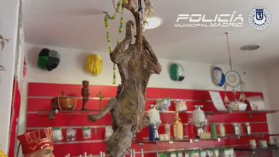 Descubren altares presuntamente usados para rituales y sacrificios de animales en locales de santería en Usera