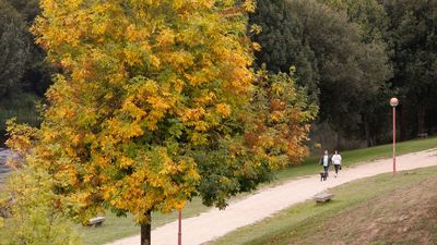 Así viene el otoño: menos lluvia y frío que otros años, según la AEMET