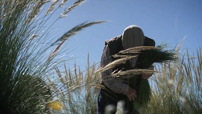 El renacer del esparto en Villarejo de Salvanés: de las cuerdas del campo a las galerías de arte contemporáneo