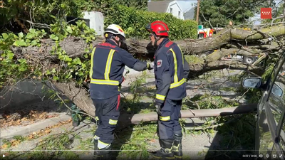 Las fuertes rachas de viento causan incidencias en varios puntos de la Comunidad