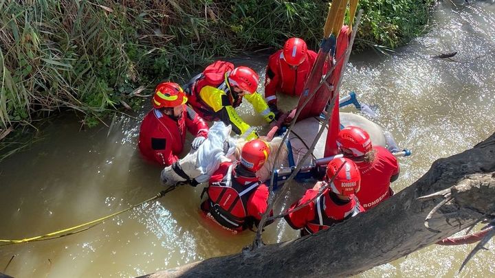 Imágenes del angustioso rescate de una yegua que cayó a una acequia en Alcalá de Henares