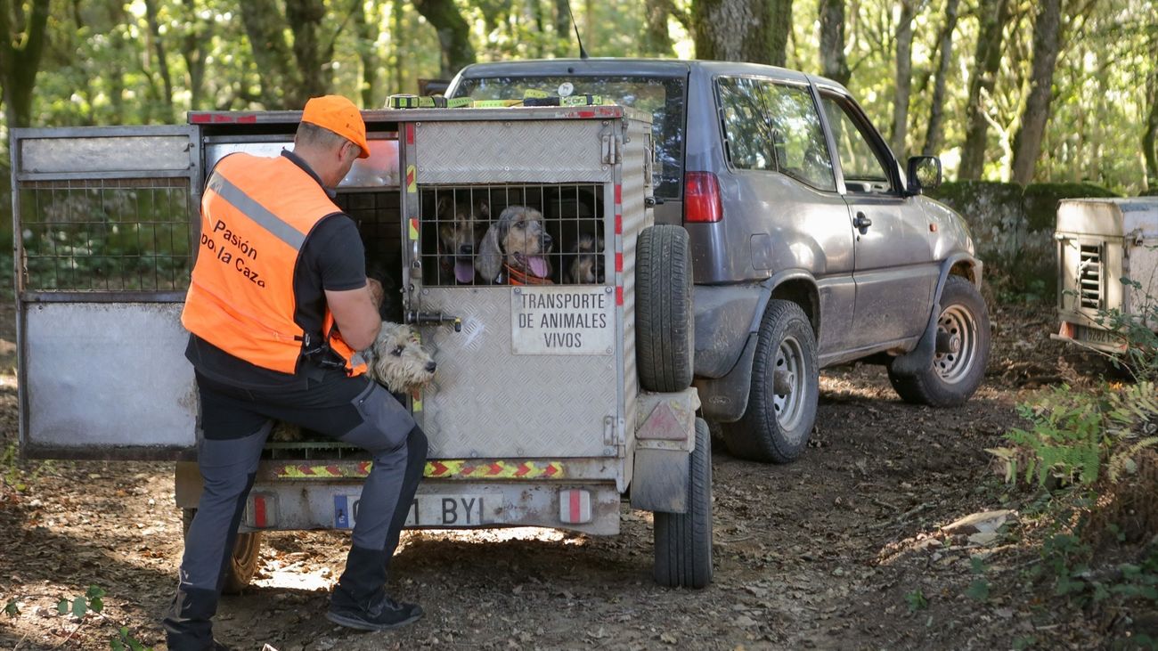 Un cazador con sus perros en un monte de Galicia