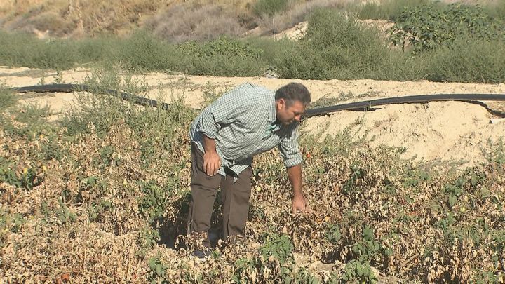 Unas obras de ADIF arruinan la cosecha de Carmelo, uno de los últimos agricultores de la capital