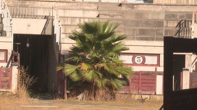 La plaza de toros de Getafe busca una nueva 'vida' tras ocho años abandonada