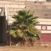 La plaza de toros de Getafe busca una nueva 'vida' tras ocho años abandonada