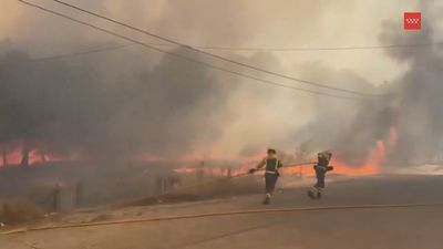 Balance del Plan INFOMA 2014: Menos incendios, con menos superficie arbolada afectada