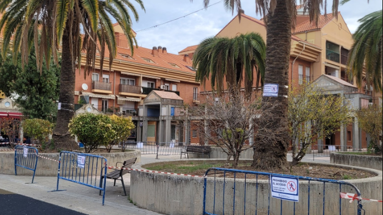 Palmeras de la Plaza Mayor de Ciempozuelos