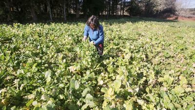 Las mujeres celebran el Día Internacional de la Mujer Rural con la vista puesta en Europa