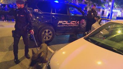 La unidad canina, clave en los controles policiales en Madrid: "Detectan las drogas ocultas en los coches"