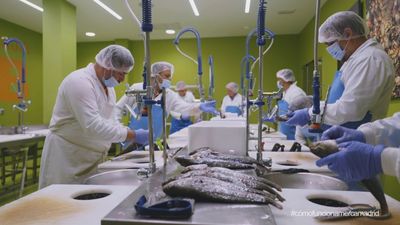 Aprendemos sobre la profesión de pescadero en el Centro de Formación de Mercamadrid