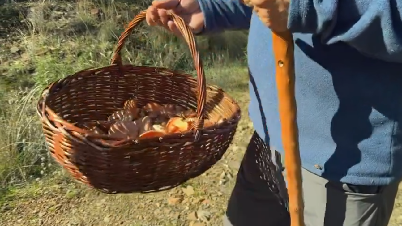 Una buscador de setas muestra su cesta llena de hongos