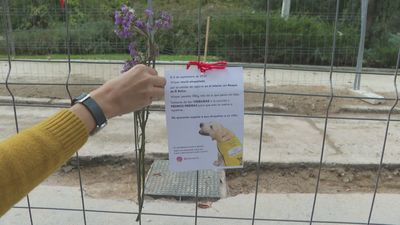 Nuevas muestras de cariño por la muerte del perro de la ONCE atropellado en El Retiro