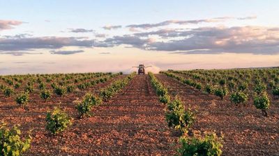 Francisco José García: "Tenemos que luchar por que la gente pida vinos de Madrid"