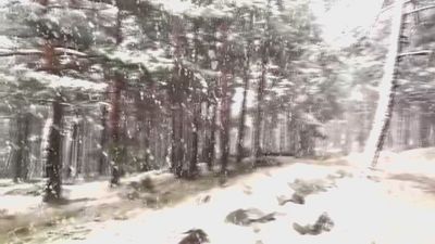 Caen los primeros copos de nieve en la sierra de Madrid