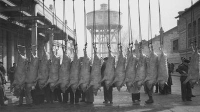 De carnicería a centro cultural vanguardista: Matadero Madrid cumple 100 años