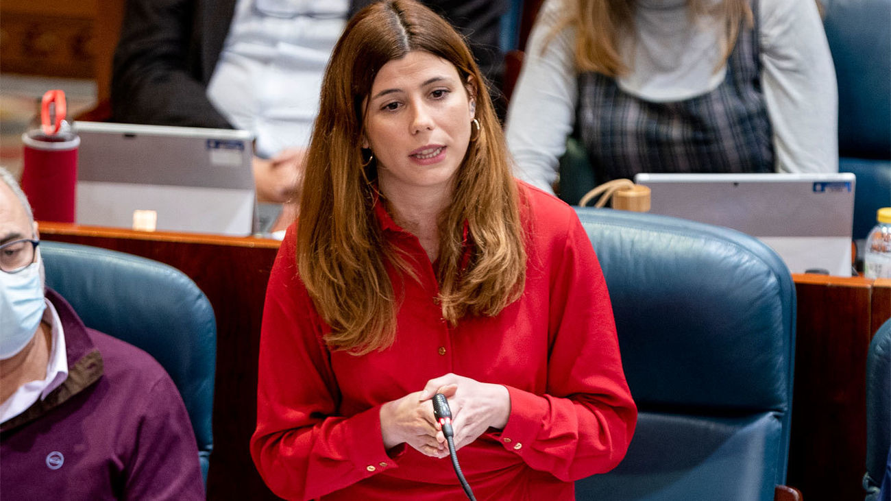 La diputada de Más Madrid en la Asamblea de Madrid, Loreto Arenillas