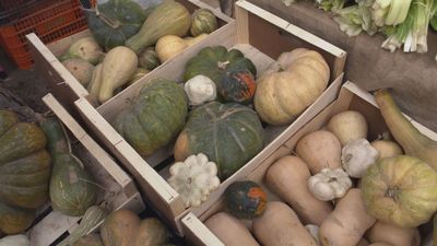 Un día de mercado en la cámara agraria de Madrid