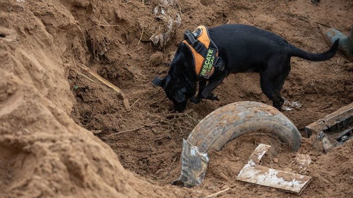 Con drones, perros y cámaras térmicas, así es la búsqueda de desaparecidos en Valencia