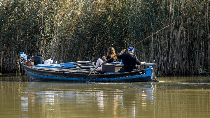 Búsqueda de víctimas mortales en  l'Albufera de Valencia