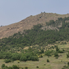 Bellotada en Collado Mediano para repoblar el Cerro del Castillo