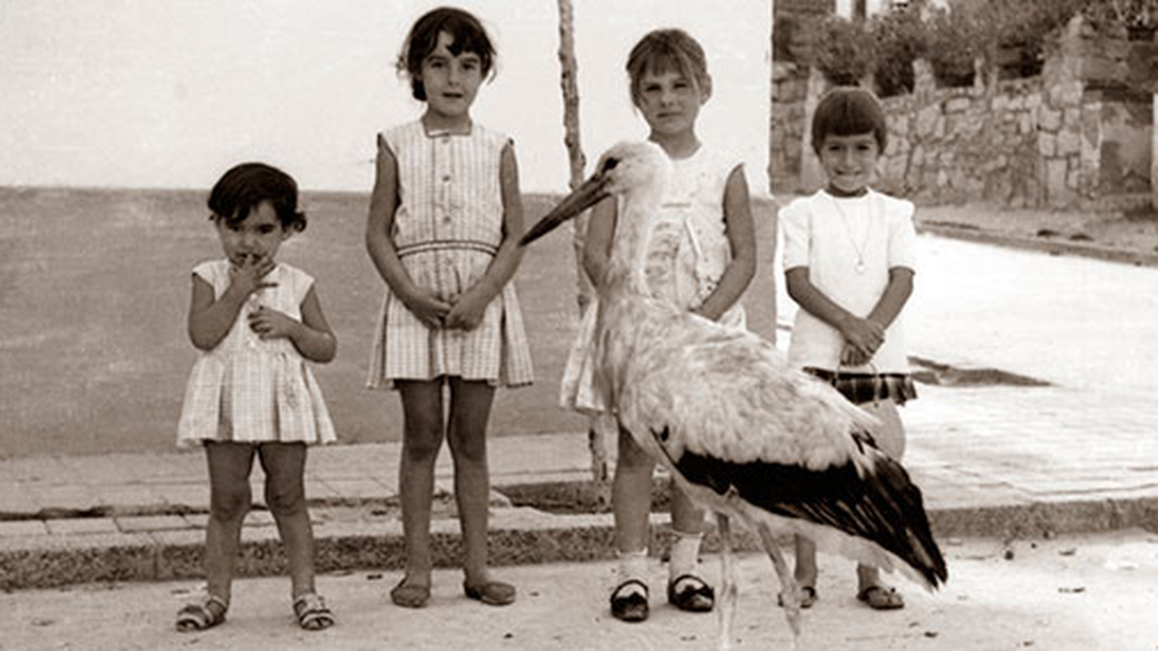 La cigüeña Maria con un grupo de niños de Las Rozas