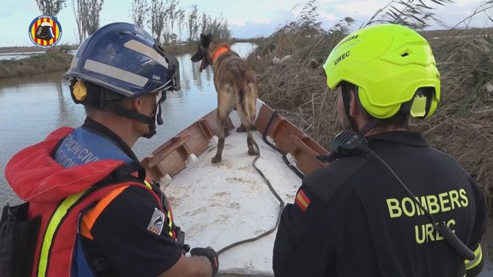 Siguen apareciendo cadáveres en la Comunidad Valenciana diez días después de la riada