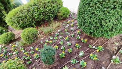 Galapagar llena de color sus calles con más de 2.600 flores