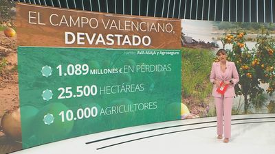 Los efectos de la DANA en el campo valenciano, más de 1000 millones en pérdidas