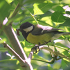 Pinto anima a colocar cajas-nido para las aves del Arroyo Culebro