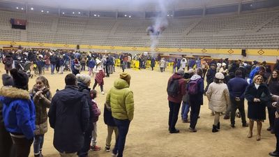 Castañada popular en la plaza de toros de Moralzarzal este sábado por la tarde