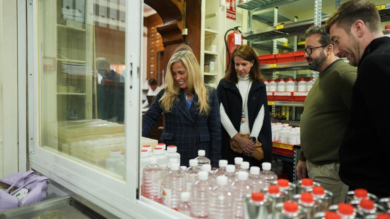 La consejera de Economía, Rocío Albert, visita un pequeño comercio