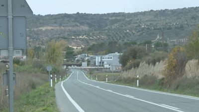 Accidentes y destrozos de cosechas, preocupación en Carabaña por la proliferación de jabalíes