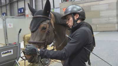 Madrid, capital de la hípica mundial con la Ifema Madrid Horse Week