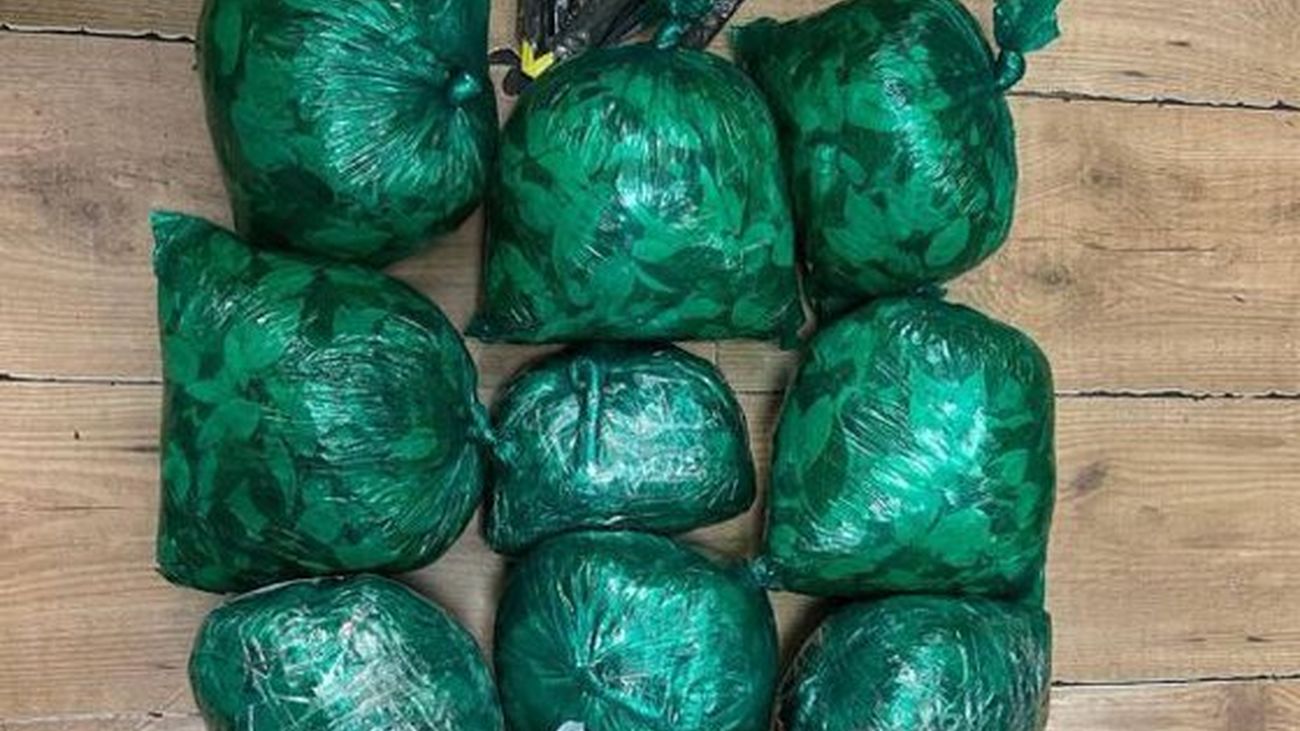 Incautados 5 kilos de hojas de coca