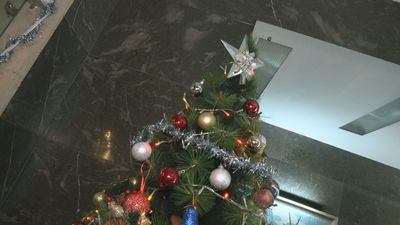 Inesperado robo del árbol de Navidad en una comunidad de vecinos de Tetuán