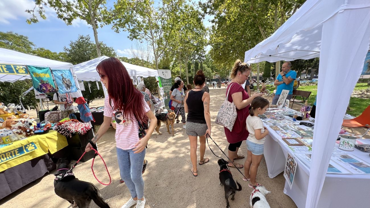 Carpas en una campaña de adopción responsable de mascotas, en Fuenlabrada