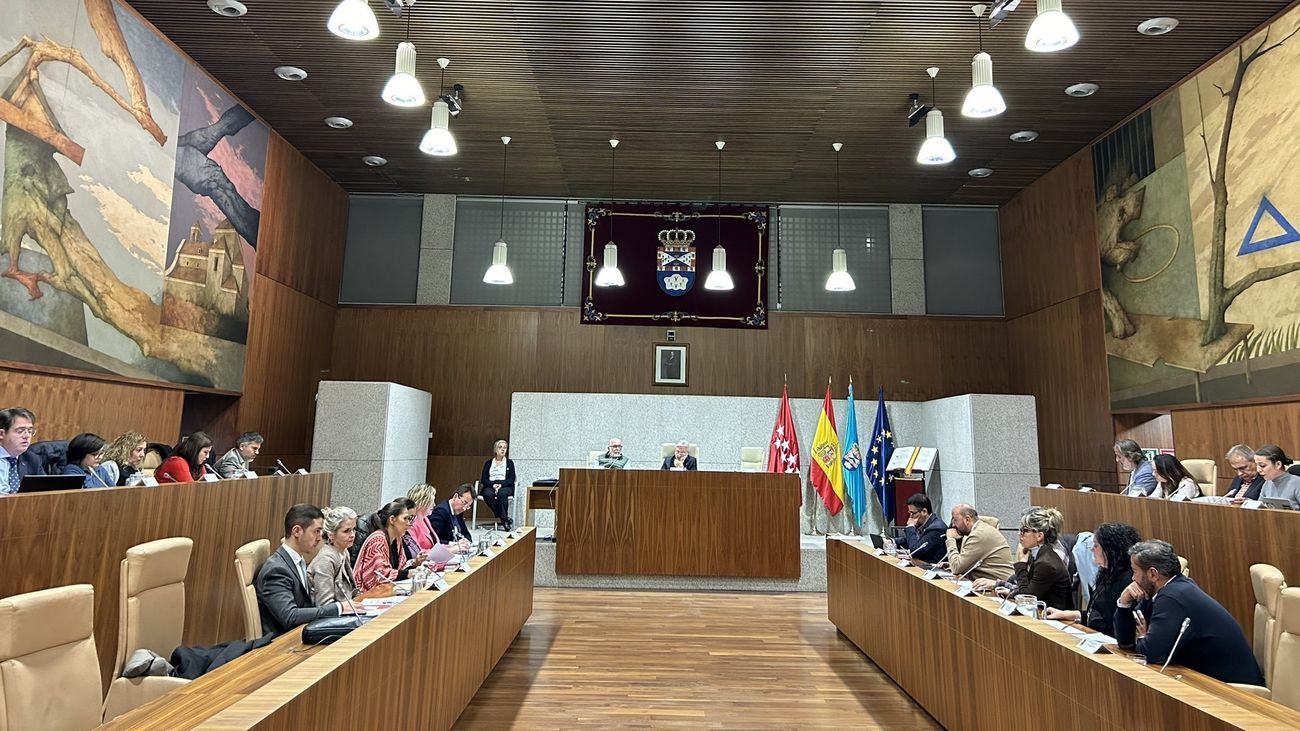 Pleno del Ayuntamiento de Leganés