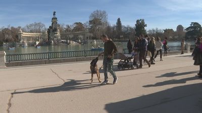 ¿Qué se puede hacer y qué no en El Retiro? Así es el nuevo reglamento del gran parque de Madrid