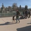 ¿Qué se puede hacer y qué no en El Retiro? Así es el nuevo reglamento del gran parque de Madrid