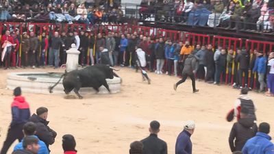 Carabaña celebra los últimos encierros del año en la Comunidad de Madrid