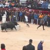 Carabaña celebra los últimos encierros del año en la Comunidad de Madrid