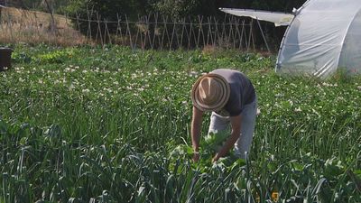 Agricultores protestan contra el tratado de Mercosur: "No tenemos miedo a competir, pero en igualdad de condiciones"