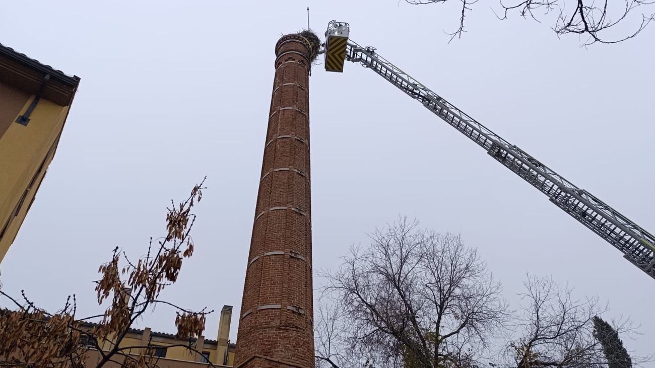 Los bomberos retiran un nido de cigüeña en Pinto