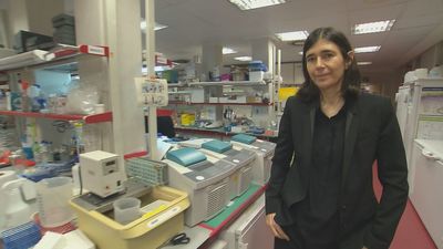 La polémica por presuntas irregularidades paraliza el presupuesto del Centro Nacional de Investigaciones Oncológicas