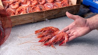 Chupar las cabezas de gambas puede no ser buena idea