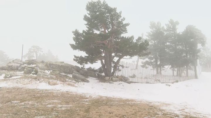 Este sábado abren dos pistas de esquí de Navacerrada