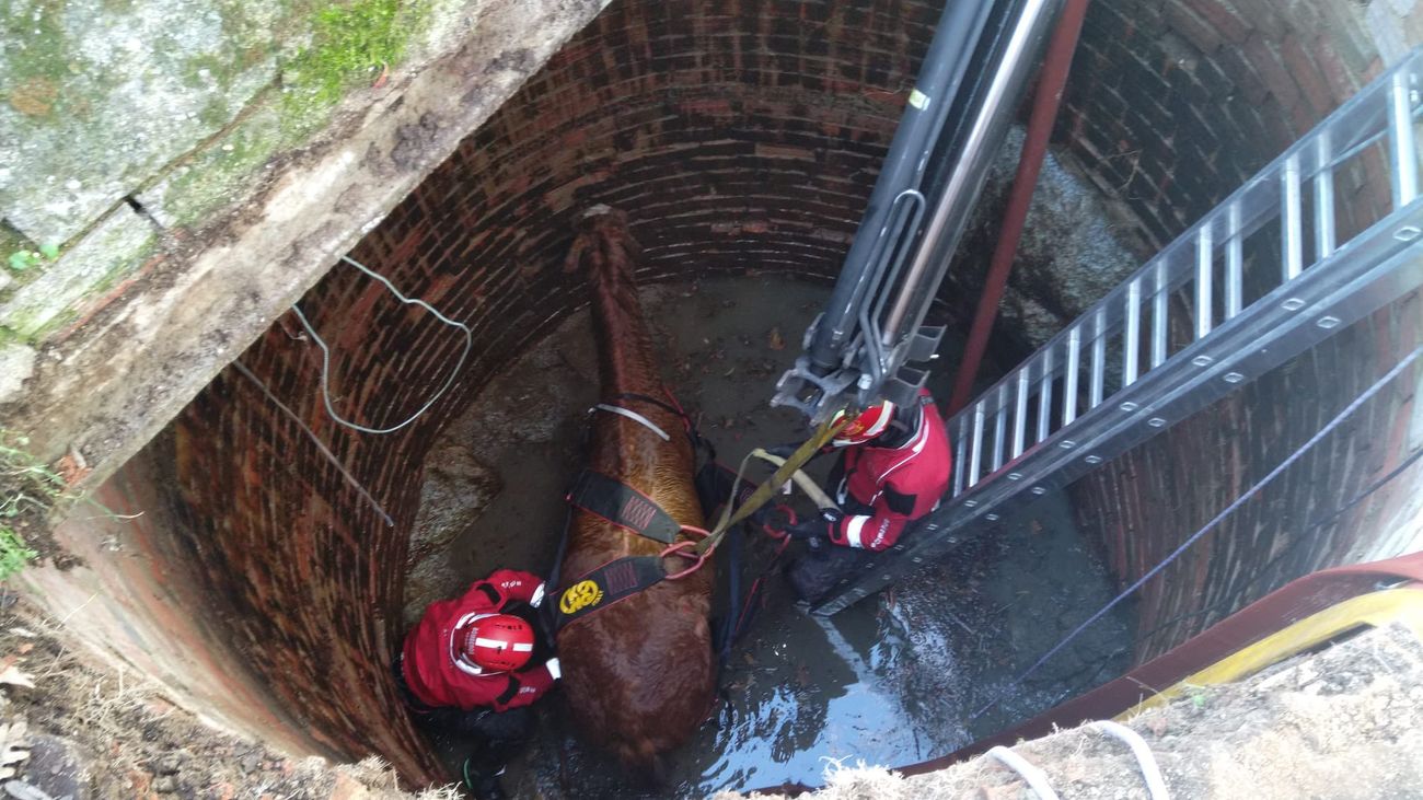 Los bomberos preparan el izado de un caballo caído al interior de un pozo