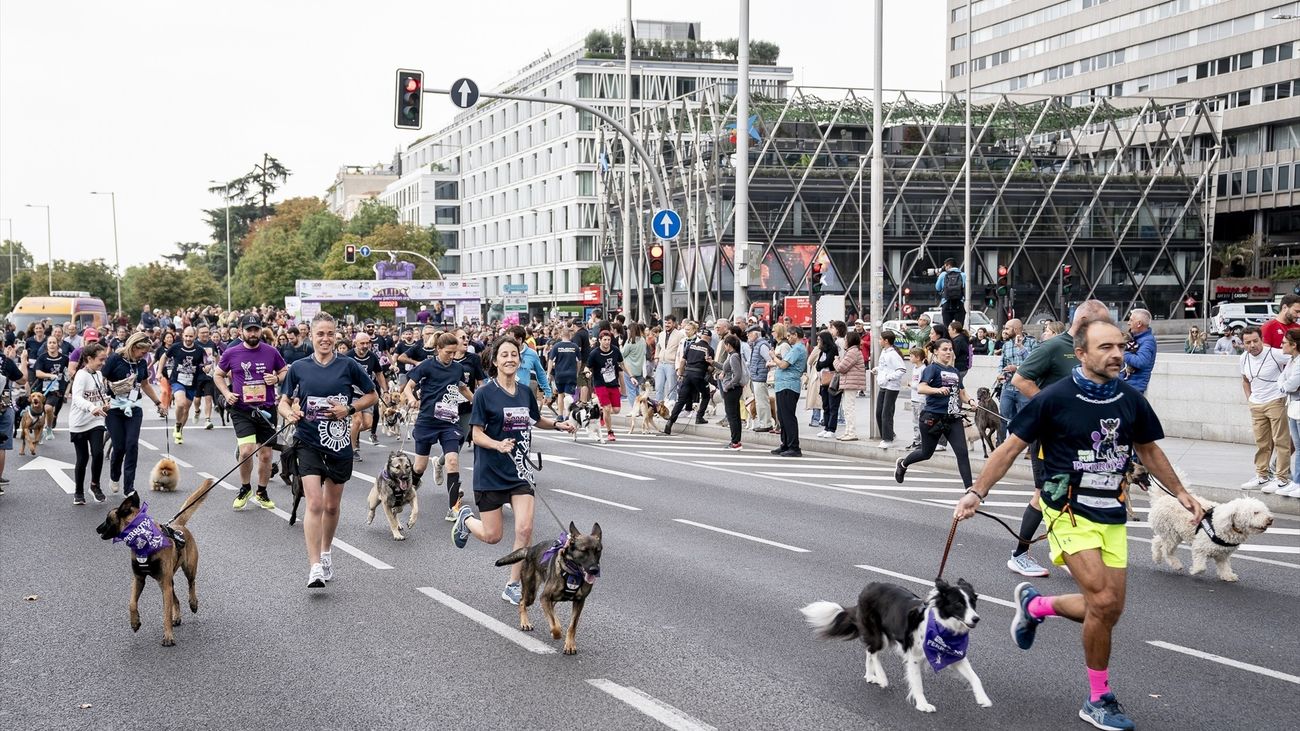 Participantes en una carrera popular con sus mascotas