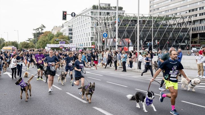 Una San Silvestre 'de perros' en Paracuellos de Jarama