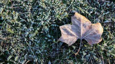 Tiempo para este jueves: Heladas moderadas de -6 grados en las zonas altas de la Sierra